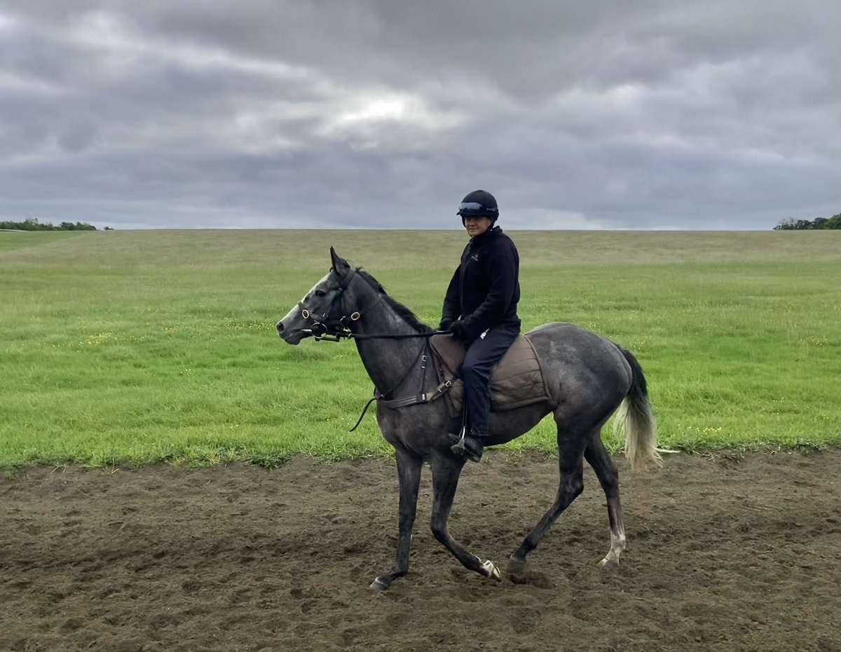 Ended up raining for most of the day @NewmarketGallop yesterday. A very wet day indeed. Fortunately it’s dry today so far, but there are still plenty of ominous clouds above us #Morston #Blakeney #Gus #Merrijig #FlyingStar