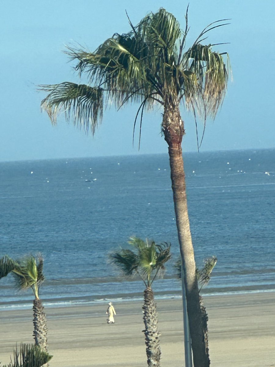 A morning walker in Essaouria/ Morocco this morning. 🚶‍♀️😊🌴🌅