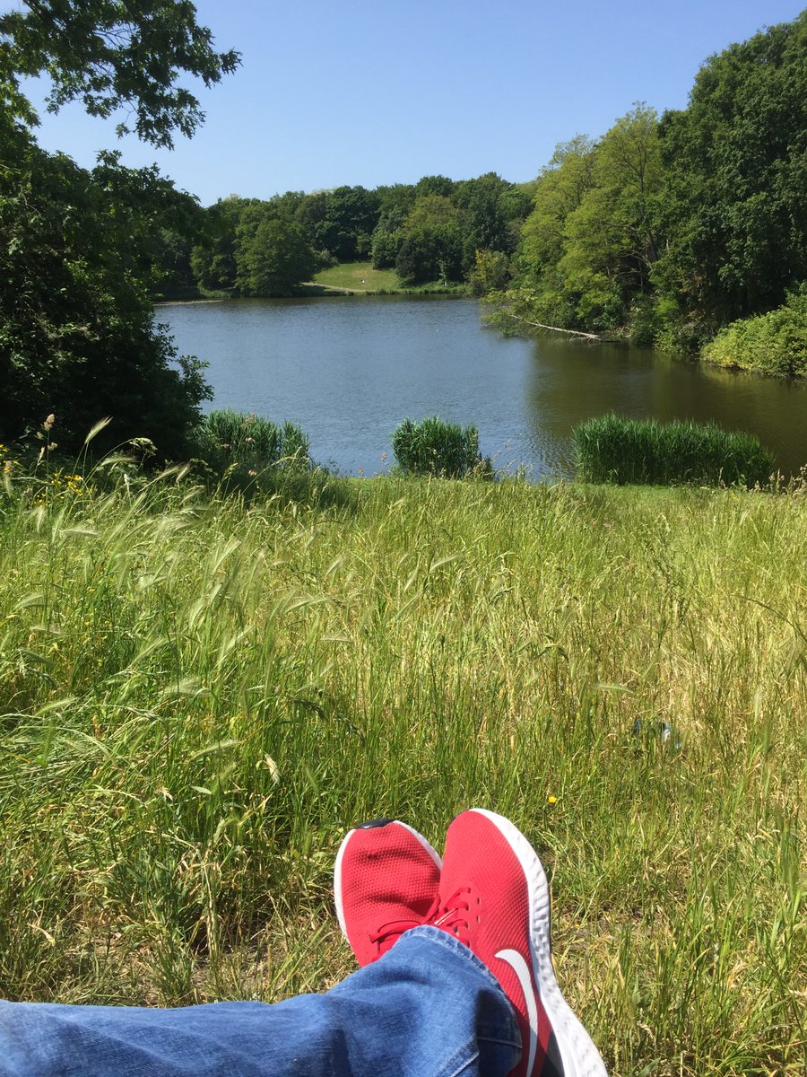 Het blijkt dat we heel goed kunnen zonder die corrupte politici !!  Zonder stikstof kunnen we niet !! Een hele mooie donderdag ! 🌳🌳🌳🌳☀️☀️☀️💥💥💥💥 enen een beetje vitamine D en CO 2 opsnuiven 👃💥☀️🌳