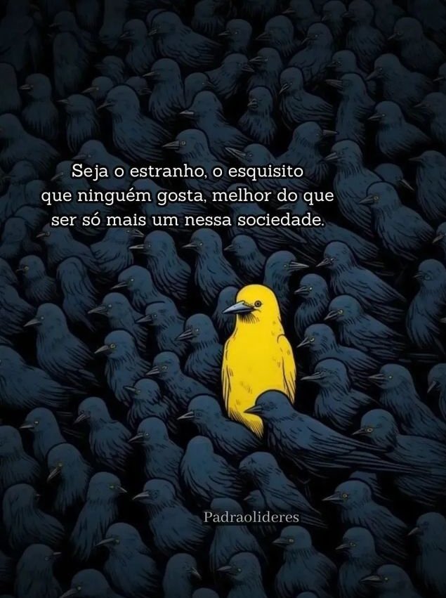 teu caos (@sobreteucaos) on Twitter photo 