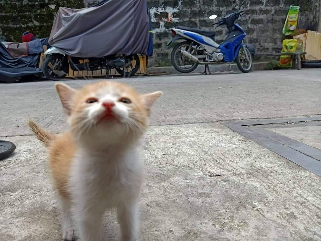 mgapusasadaan's tweet image. nak tayo ka dyan picturan kita send natin kay papa mo