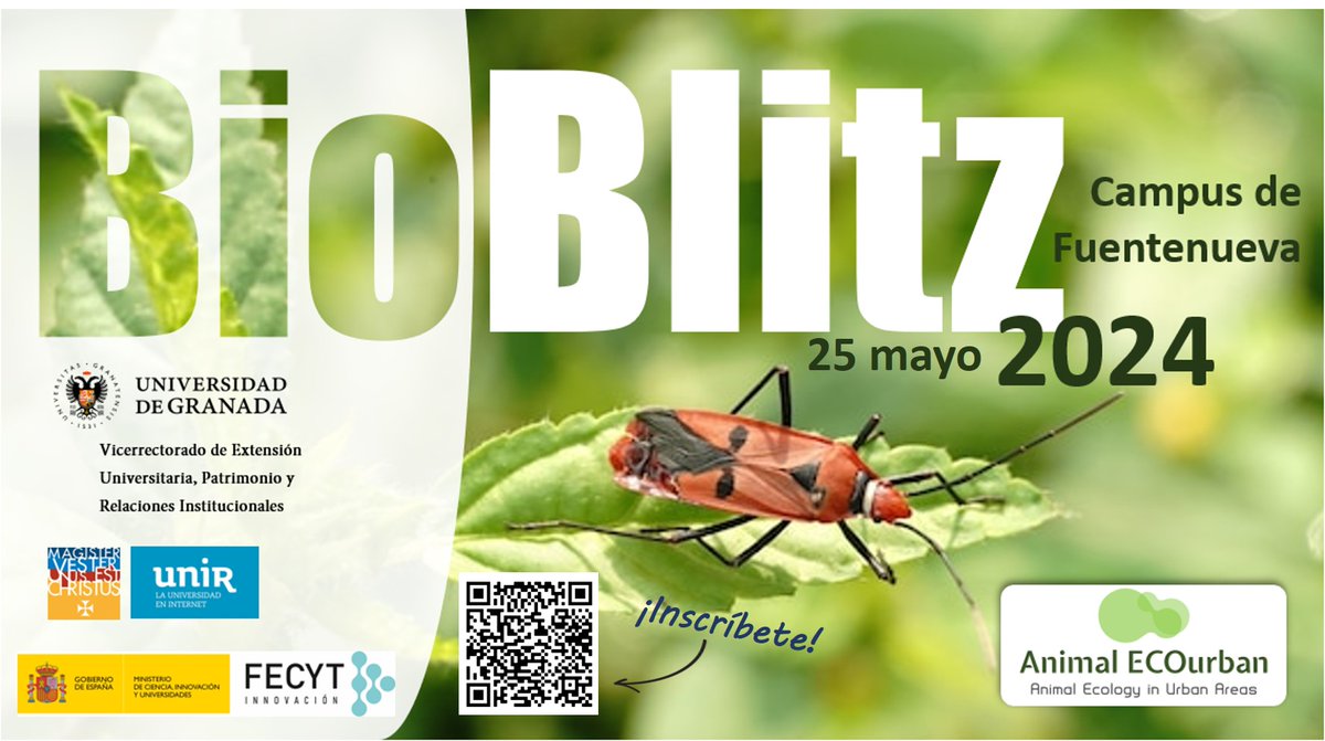 🐜 BioBlitz 👉 #CienciaCiudadana y #BiodiversidadUrbana
Objetivo: recopilar el mayor número de fotos de insectos y otros artrópodos durante 1 hora
Organiza: @educaugr
📅 SÁBADO 25 DE MAYO 
🕙 10:00 h
📍 Puerta de la @etsie_ugr
Inscripción previa
bit.ly/BioBlitzUGR #UGR #CMLI