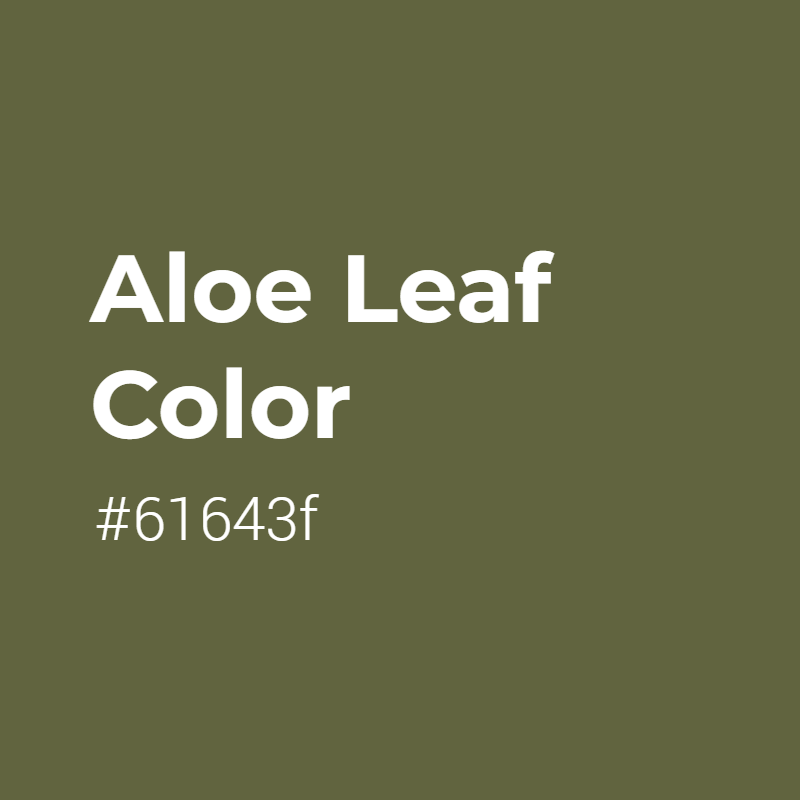 Aloe Leaf color #61643f A Cool Color with Grey hue! 
 Tag your work with #crispedge 
 crispedge.com/color/61643f/ 
 #CoolColor #CoolGreyColor #Grey #Greycolor #AloeLeaf #Aloe #Leaf #color #colorful #colorlove #colorname #colorinspiration