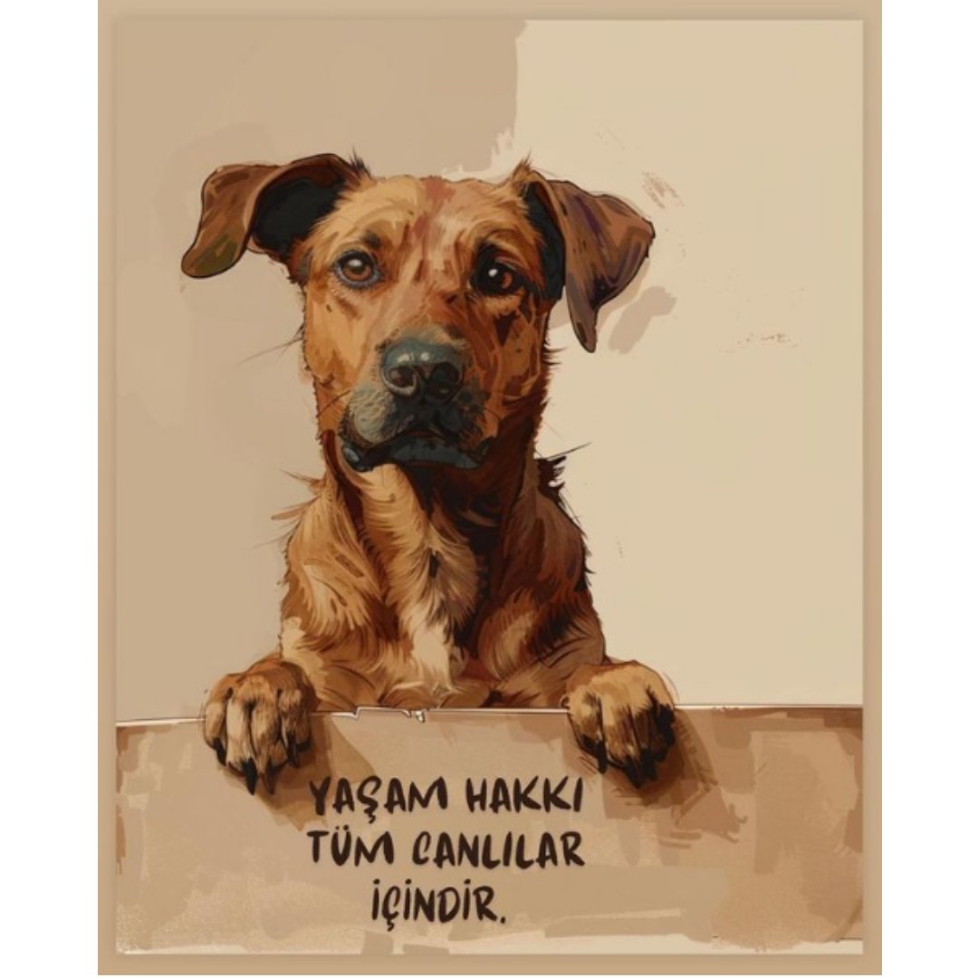 Öldüren Değil  Yaşatan Yasa İstiyoruz. 

Herhangi bir canlıyı, sırf sevmiyor ve rahatsızlık duyuyorsun diye katletmek akıl alır bir şey değildir.

Katlederek çözüm olmaz!

Cinayet devlete yakışmaz.

#sokakhayvanlarisahipsizdeğil