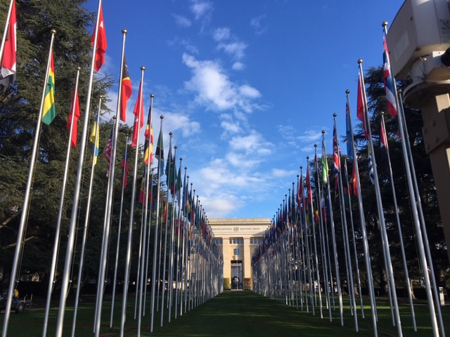Our new E-Bulletin on #CAT79 is now available. Check it out for a summary of the Committee against Torture's latest session & recommendations to 🇦🇹 Austria 🇦🇿 Azerbaijan 🇫🇮 Finland 🇭🇳 Honduras 🇱🇮 Liechtenstein 🇲🇰 North Macedonia 🔗 bit.ly/3yEvdCJ