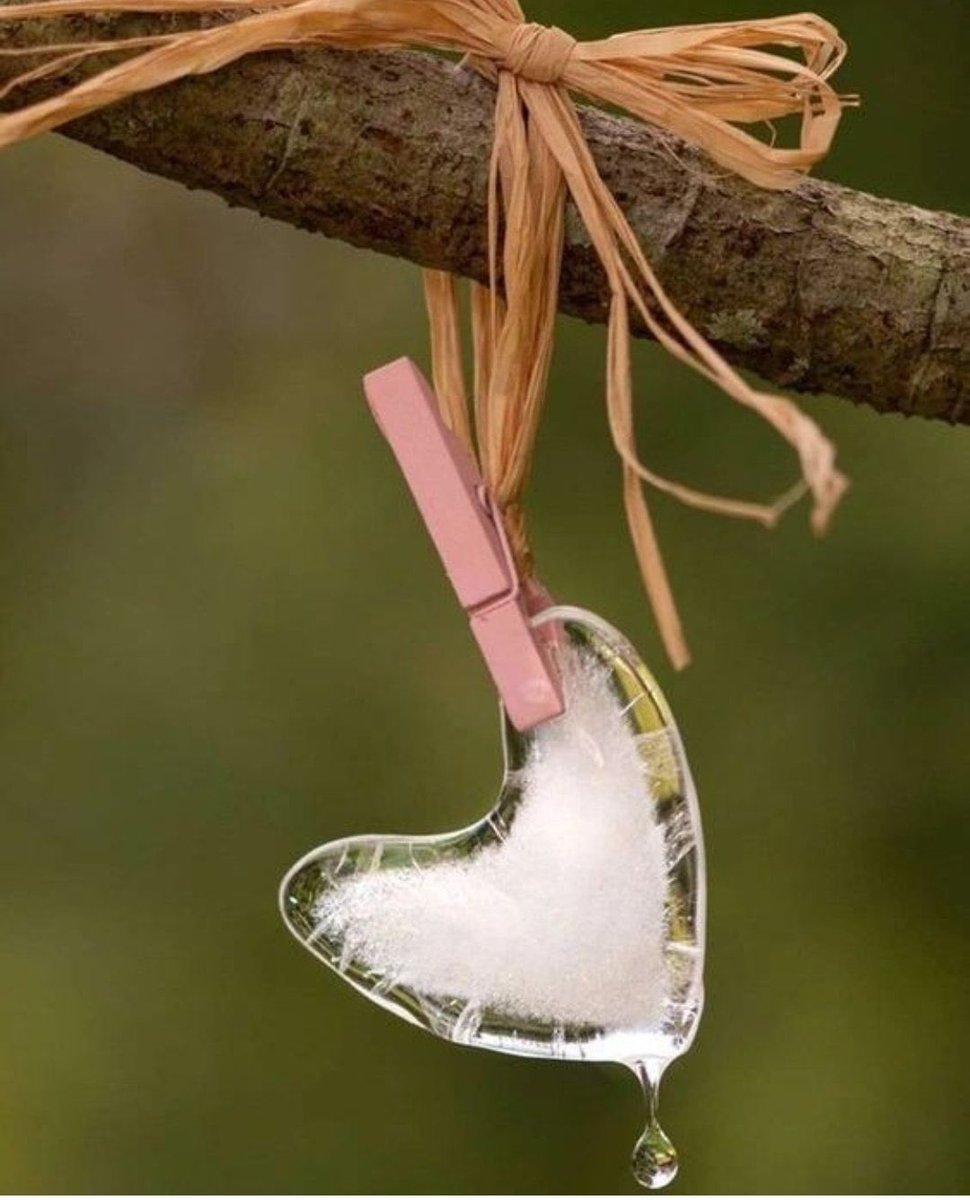 صباح الورد 💕🌸