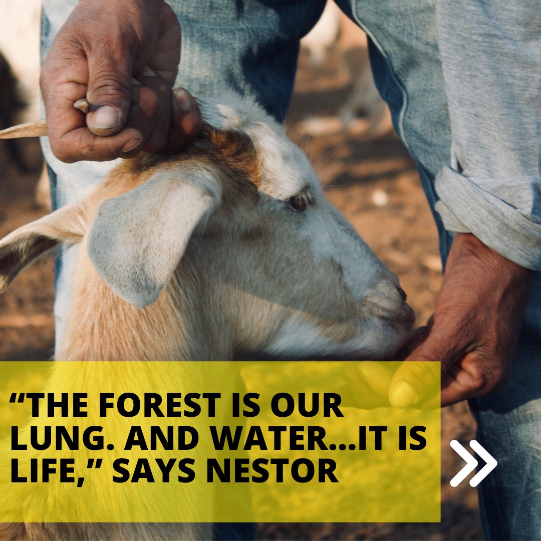 🌧 Nestor dreamt of one thing ... ... creating a home where his people could thrive through access to 💧. Nestor’s story: bit.ly/3wLOwto For more about Latin America's semi-arid regions & their fight for #landrights, register for our forum: bit.ly/3UONViK