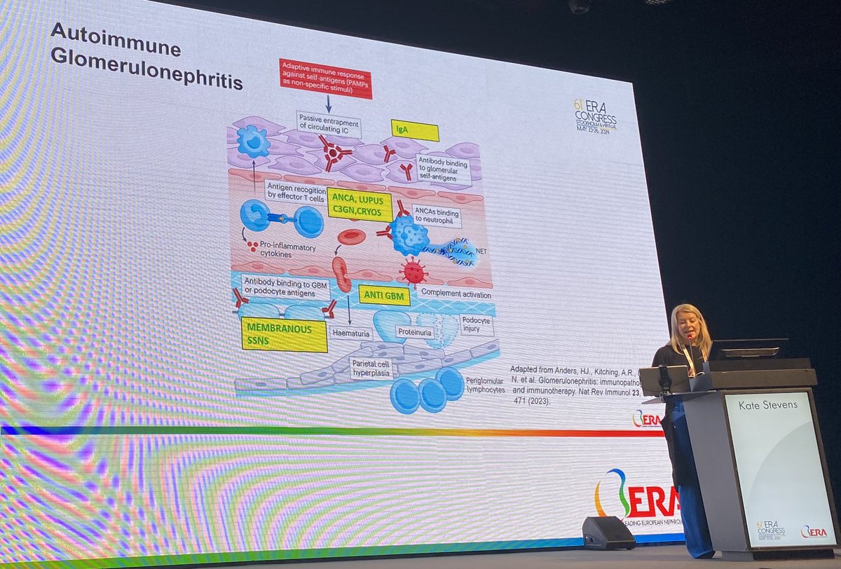 A causal classification of GN has been proposed by @hjanders_hans et al. Autoimmune GN involves adaptive immune response against self antigens in the kidney and treatment often involves suppression of autoantigens. @KateIsabelle24 #ERA24