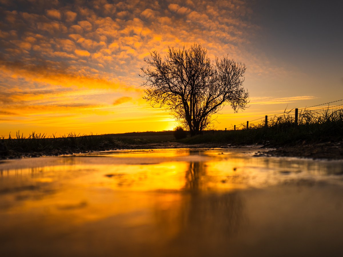 Good morning! 🌅 This breathtaking sunrise reminds me of the beauty in stillness and the power of being present. I know not every day feels transformative, but there’s always light to be found, even in the smallest moments. 🌿 #Sunrise #NaturePhotography #MorningInspiration