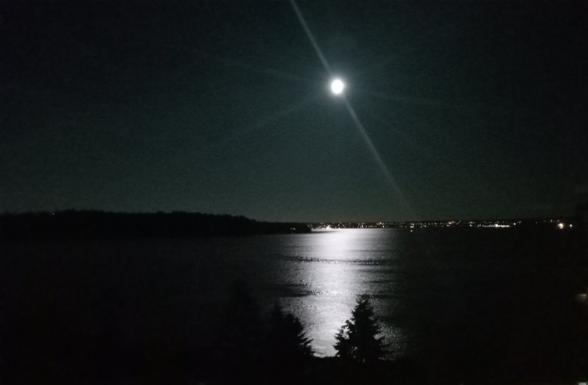 AliceCretelli's tweet photo. Beautiful May's full flower🌼moon light up the sky tonight in #WestVan.

https://t.co/uP8Bihyxhv https://t.co/oNOkX415Ib