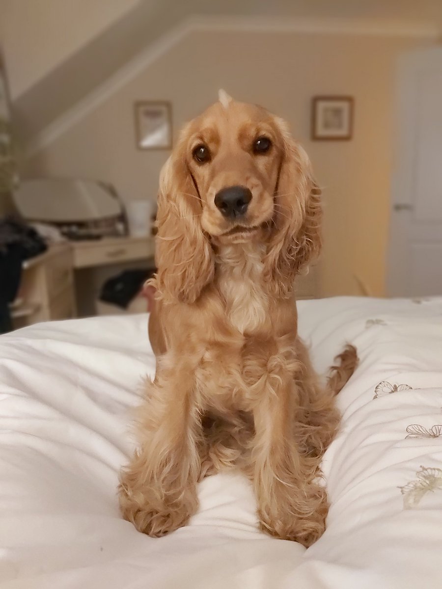 Throwback Thursday when we were both fluffy puppa's ##ThrowbackThursday