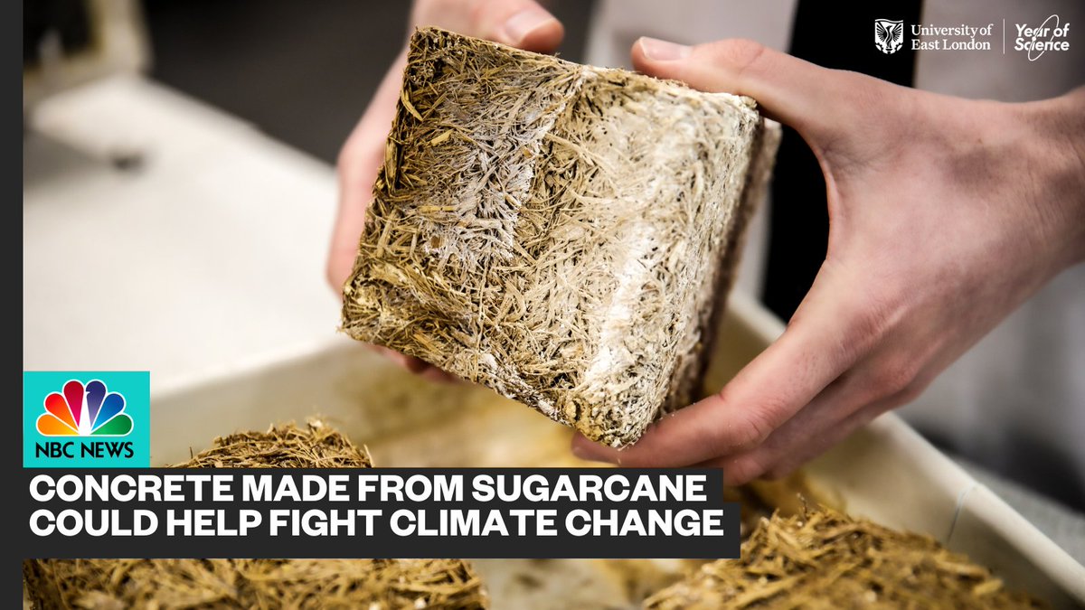 Our Sugarcrete® project was featured on @NBCNews! 🙌 Our researchers are using bagasse left over from sugar production to create a more sustainable construction material. Watch now 👉 youtube.com/watch?v=GuFeCB… @UELSRI #UELYearofScience