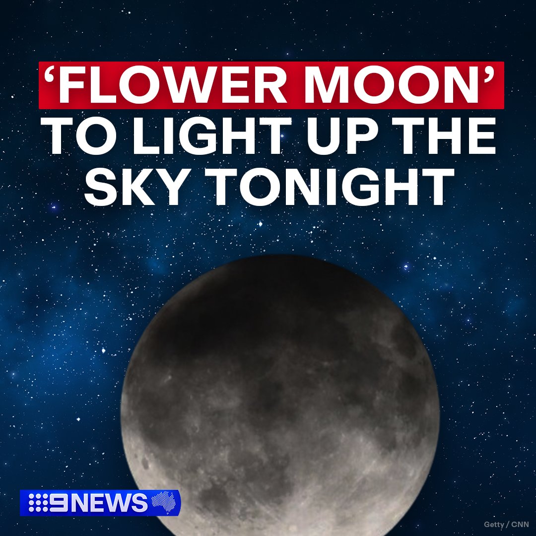 Look up! 🌕👀 Stargazers are in for a treat this week with the full moon returning for its May engagement, peaking tonight for Australians. #9News READ MORE: 9news.com.au/national/full-…
