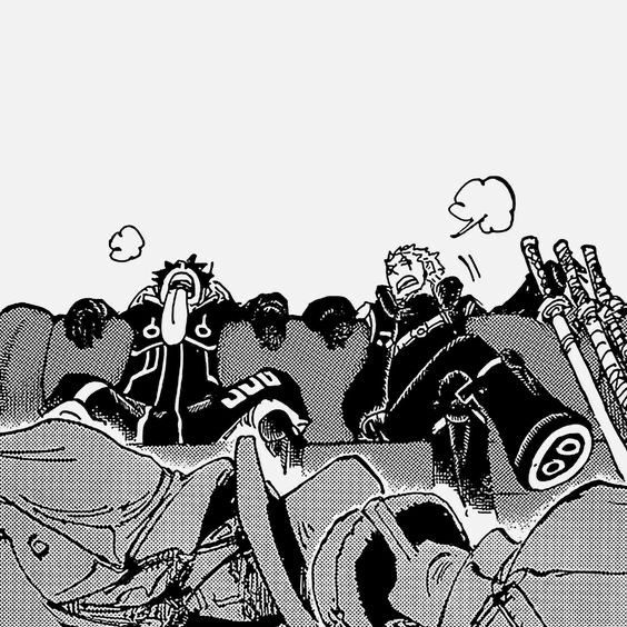 strawhats's tweet photo. Luffy &amp; Zoro https://t.co/aJiC5akvah
