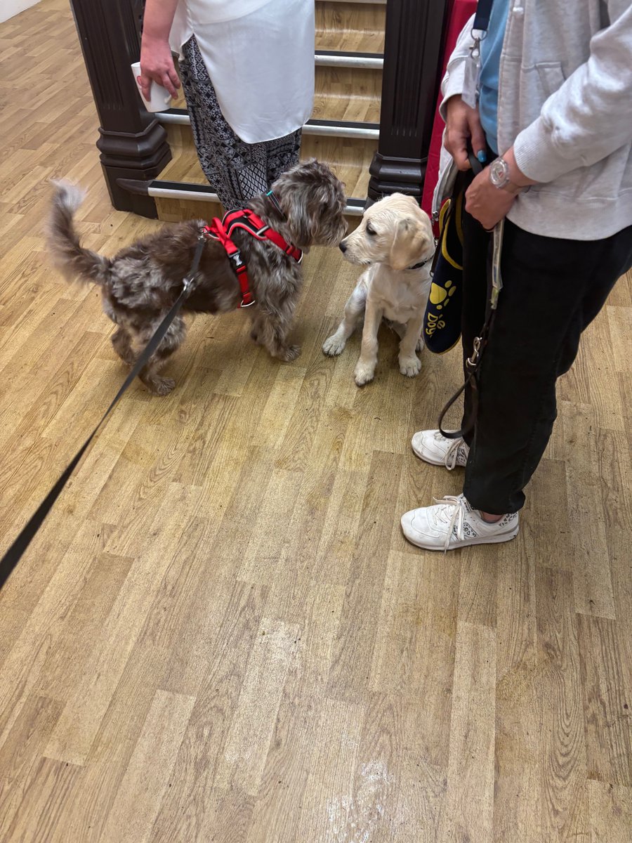 Prenton Prep School tweet media