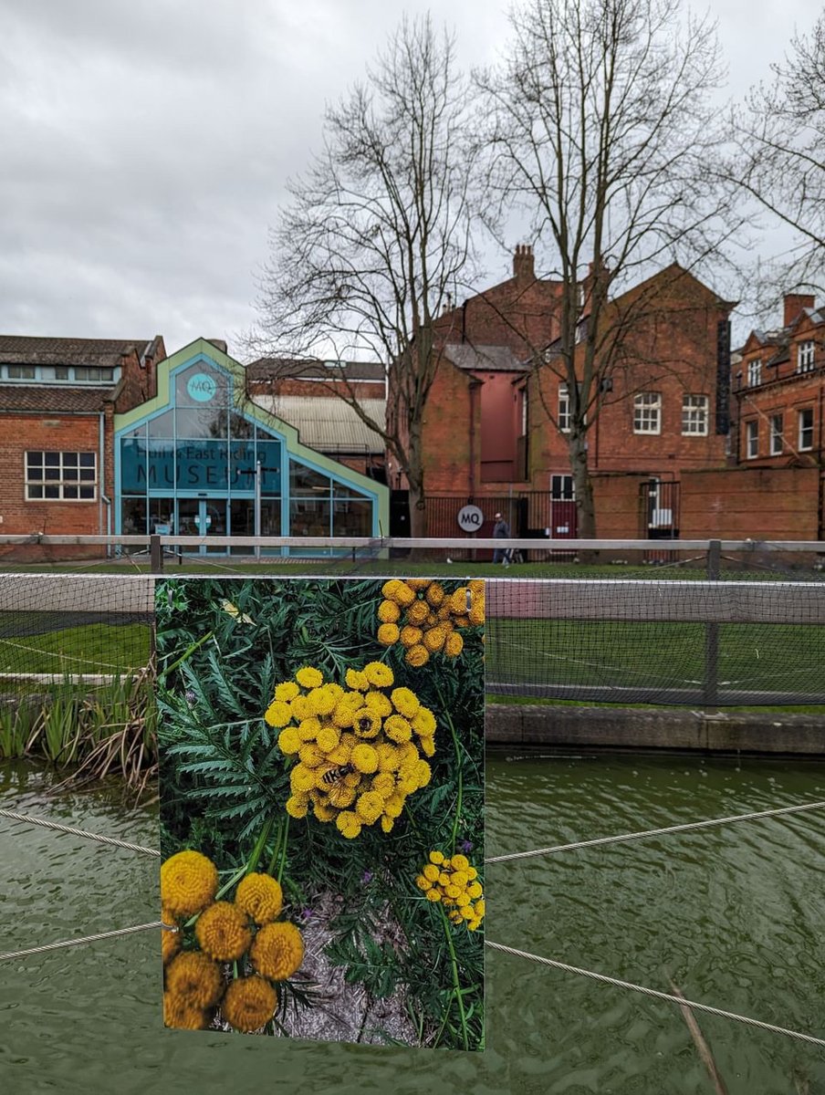 Reminder: The 'Our Environment' exhibition closes on June 2nd, so don't miss out Also don't forget to share your pics and let us know your favourite with the hashtag #OurEnvironment Funded by the Arts Council England @ace_national #ArtActivism #OurEnvironment #HullArtistry