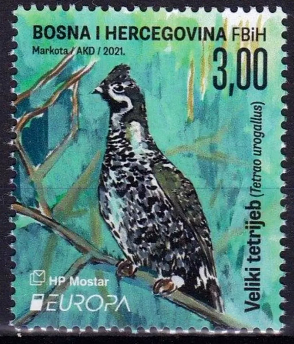 Dobro jutro moji divni prijatelji. Today’s Stamp of the Day is this 3 Mark stamp from Bosnia and Herzegovina 

Issued - 2021
Type - Commemorative 
Print Method - Offset Lithography 

Please share your stamps from 🇧🇦 and have a fabulous day.
#stampcollecting #philately #stamps