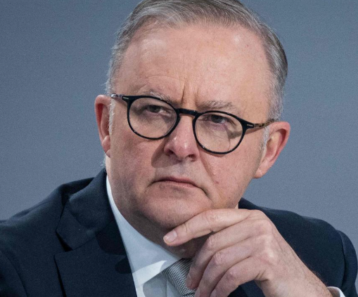 TaskerLady89977's tweet photo. 🚨PETA CREDLIN SAYS SHE IS EMBARRASED BY OUR NATIONAL LEADER ANTHONY ALBANESE!
Peta Credlin said "It’s no longer premature to say it, Anthony Albanese is simply out of his depth as our Prime Minister."
"His refusal this week to state a position on the International Criminal Court’s moral equivalence between the actions of liberal democratic Israel in self defence and the atrocities of the designated terrorist group Hamas shows a damning deficiency of judgment and character." 
"I might have disagreed with his predecessors from time to time, but this is the first time I’ve genuinely become embarrassed that our national leader is just not up to the job."
