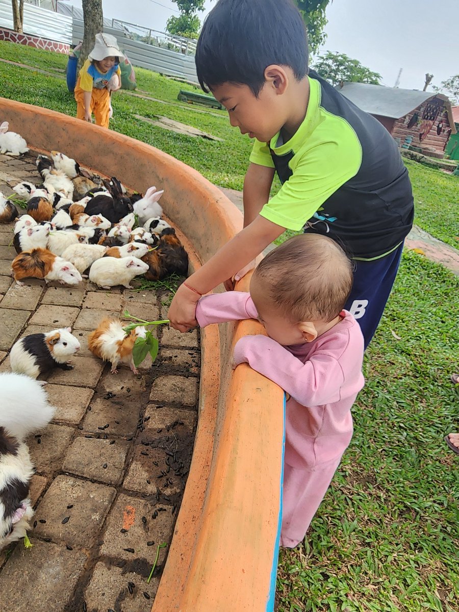 Syawaludin3687's tweet image. Melestarikan alam lebih nikmat dan nyaman dibandingkan dengan merusaknya dengan alasan pembangunan dan pendapatan ekonomi yang tidak berpihak kepada lingkungan 

#HappyFun
#SelamatkanBumi