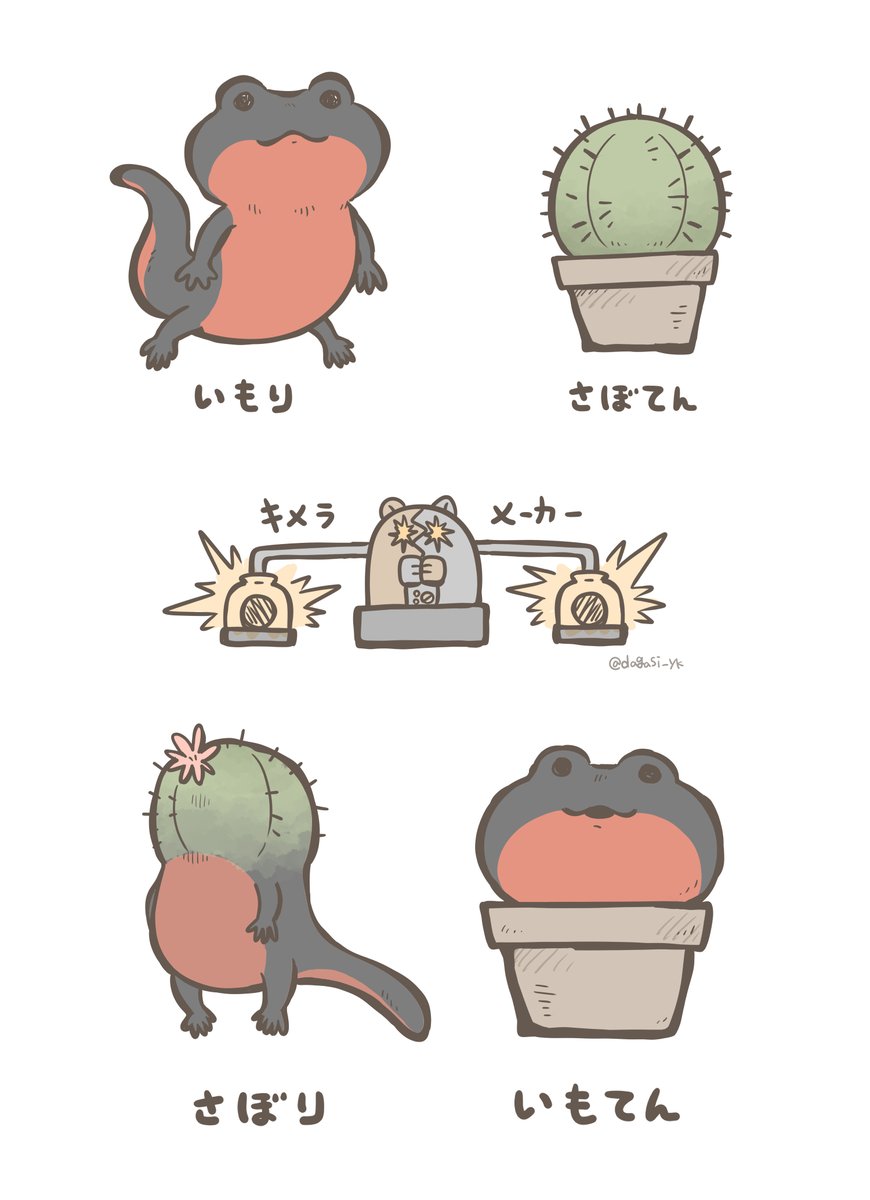 (2/7) 