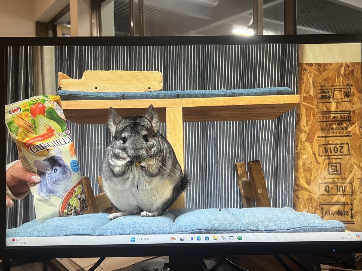 きつねですが。 (@kitunedesuga) / Posts / X