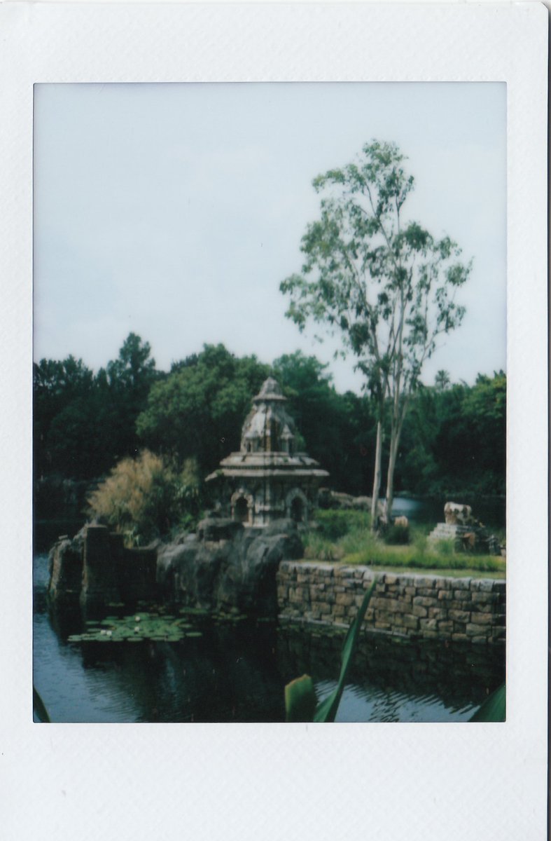 Gaige_404's tweet photo. Here are my scanned instant film from Animal Kingdom, Enjoy! P.S. Mission Everest was amazing fun!

#animalkingdom #disneyworld #photography #iloveinstantphotography #landscapephotography #themepark https://t.co/2QbRUA7LBB
