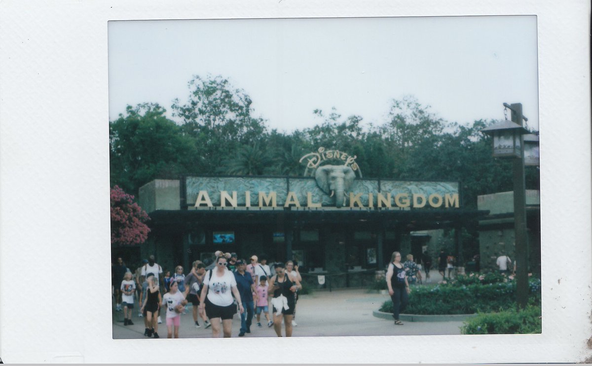 Gaige_404's tweet photo. Here are my scanned instant film from Animal Kingdom, Enjoy! P.S. Mission Everest was amazing fun!

#animalkingdom #disneyworld #photography #iloveinstantphotography #landscapephotography #themepark https://t.co/2QbRUA7LBB