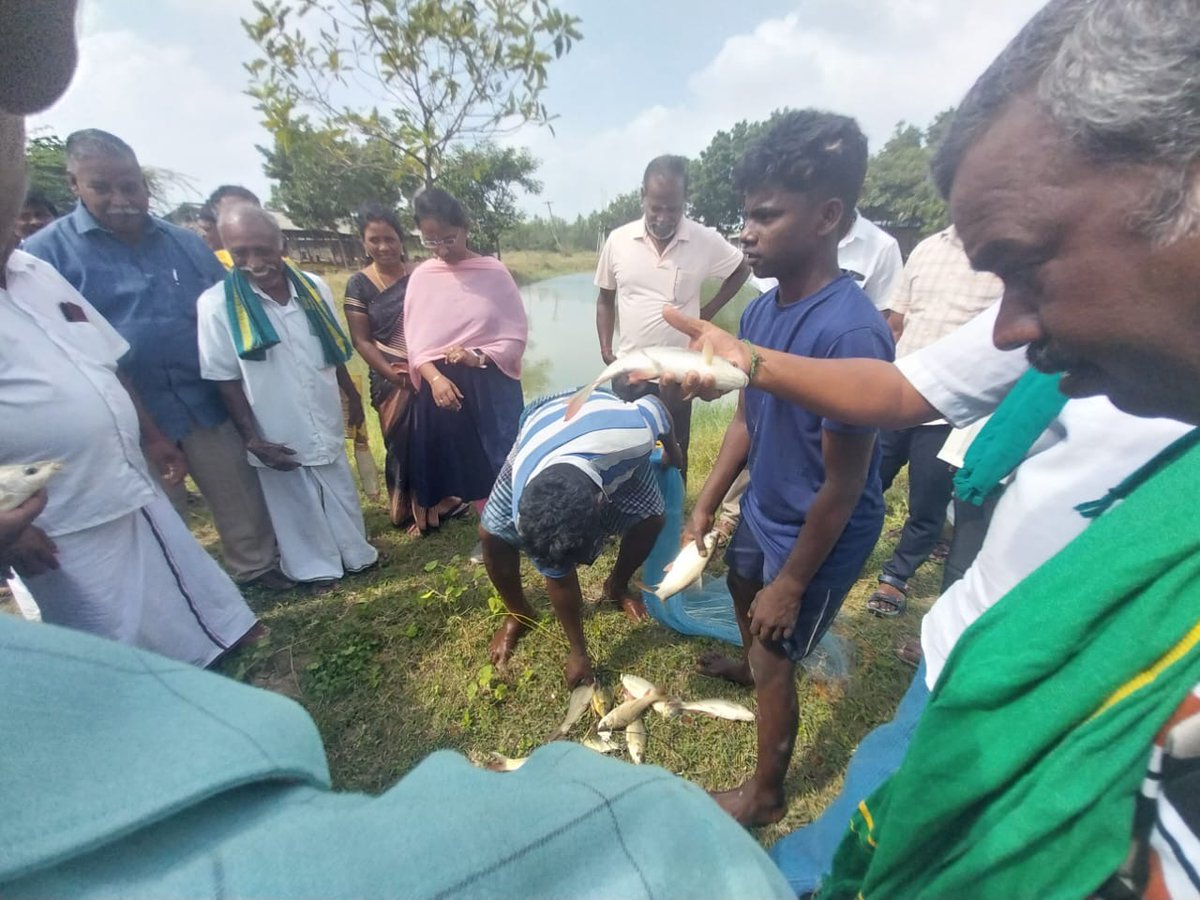 Fisheries
3 days training program on fresh water fish culture conducted by Trichy Centre for sustainable aquaculture at Ariyalur by TNJFU