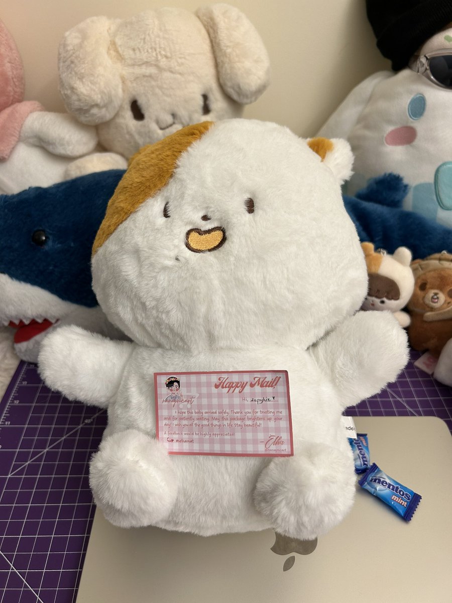 intojsungg's tweet photo. This cutie arrived safely!! Thank you so much again @nanajmcart 💗 you’rethe best!! #selhamat https://t.co/Ny4LyG8bh9