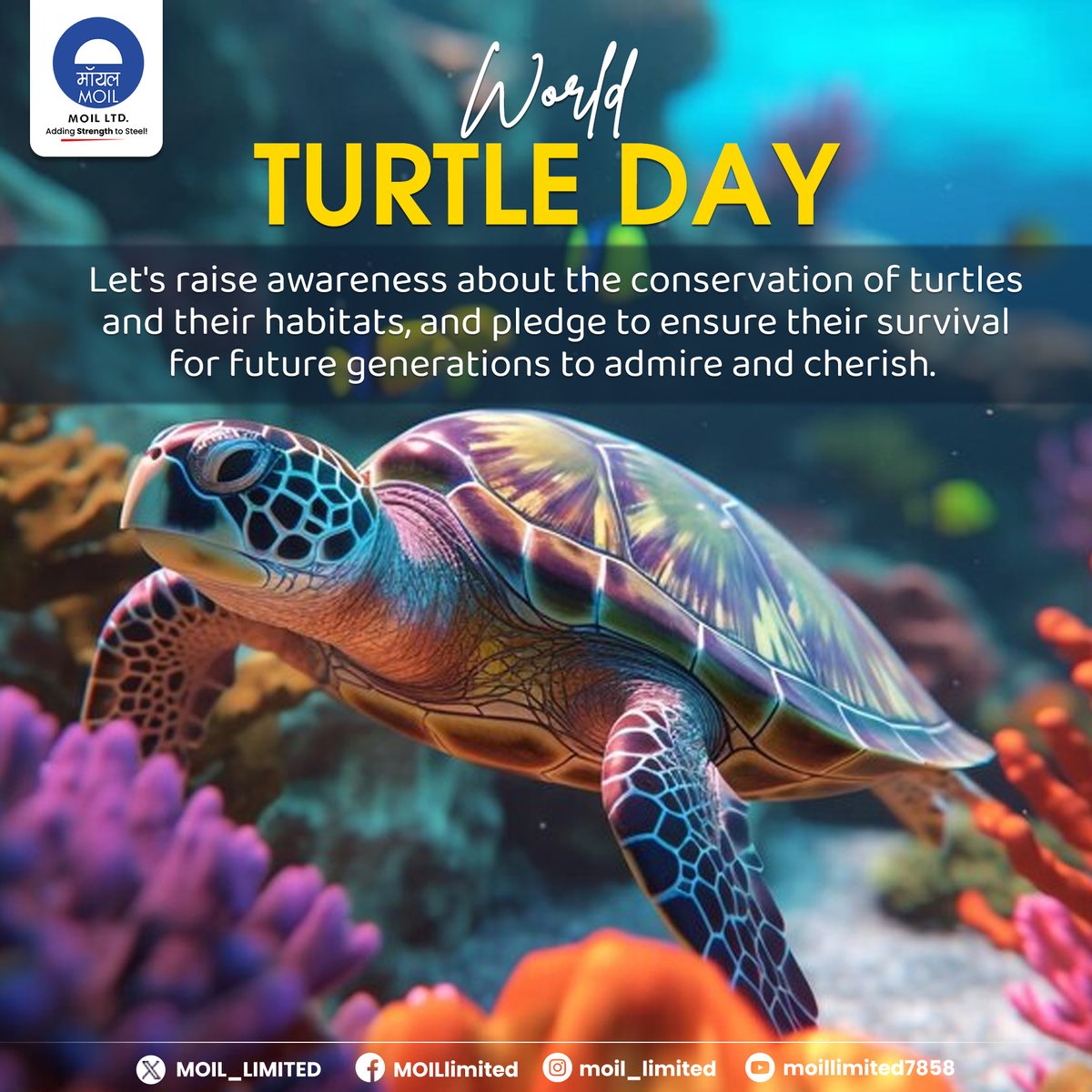 Celebrating our underwater guardians on World Turtle Day! Let's come together to ensure the survival and thriving of these majestic creatures and their aquatic homes. #WorldTurtleDay #SaveTheTurtles #MOIL #HarEkKaamDeshKeNaam