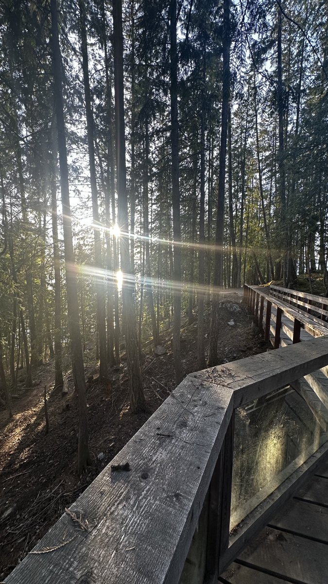 🏕️ How to Camp Like a Pro {pt. 1}
1. Find a beautiful secluded location
2. Have a sick setup
3. Have a portable power station to charge your devices (like Outdoor Tech's Grizzly Portable Power Station)
4. Have dope friends to ride with 🚴
5. Admire nature's light show

#camping