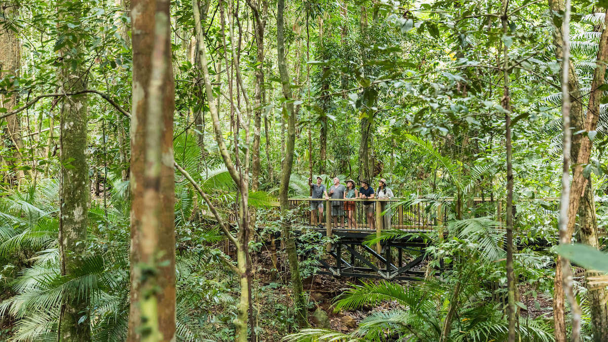 TreeHuggerTravl's tweet photo. Our New 💯The Good Traveller Blog 🫶
The Wonders of the Daintree National Park by Day and Night
–––
"Journey into the heart of Far North Queensland’s Daintree rainforest, where ancient trees whisper secrets, exotic wildlife abounds, and nightfall unveils hidden wonders." https://t.co/IZPNUjX39n