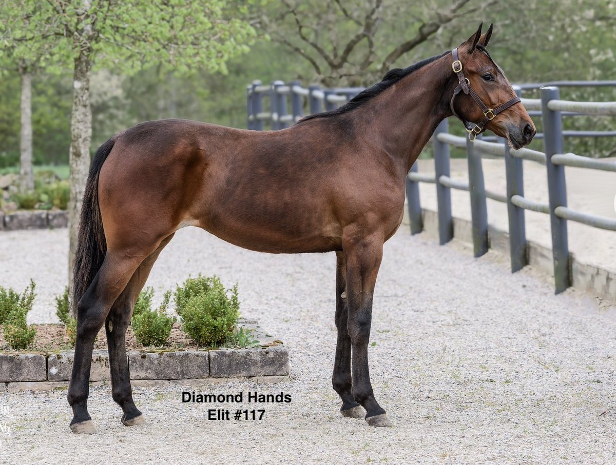 Stall Båth tweet media