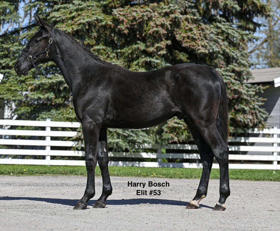 Stall Båth tweet media