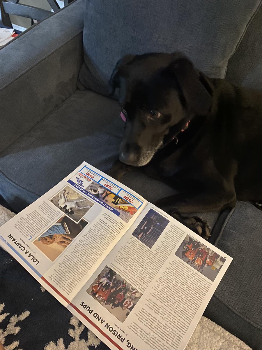 Parenting, Prison &amp; Pups was featured in New City Neighbors! <a href="/PaceUniversity/">Pace University</a> <a href="/DysonCollege/">Dyson College of Arts and Sciences</a> <a href="/HVPaws4Cause/">Hudson Valley Paws for a Cause</a> <a href="/westchestergov/">Westchester Gov</a> <a href="/CCARNYC/">Pace University CCAR</a>