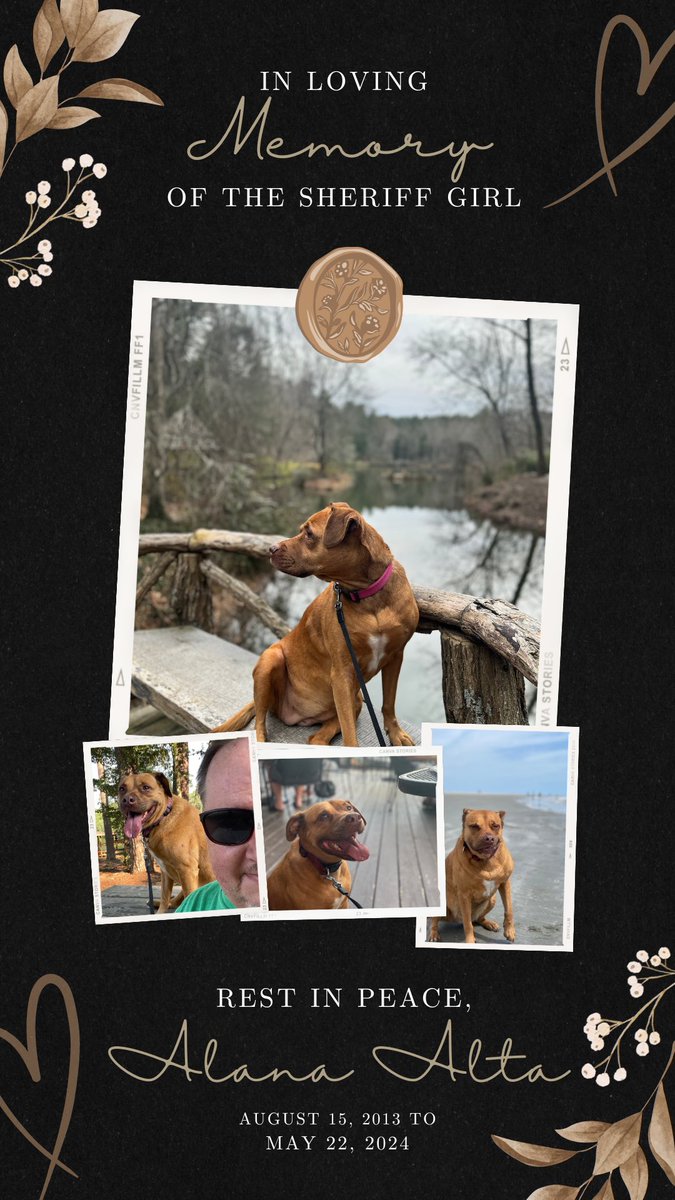 Brent Cieply tweet media