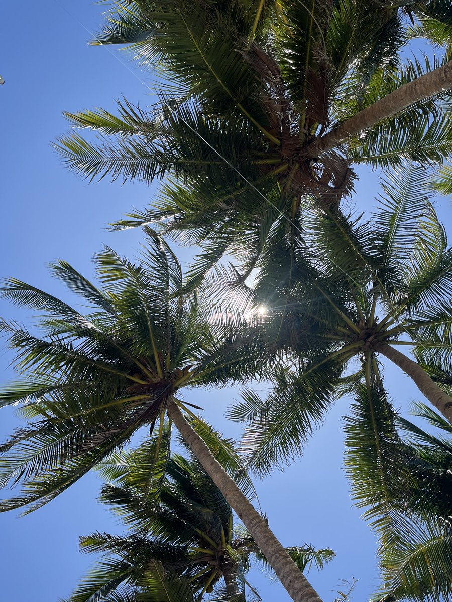 ビーチ！　いいね👍　風が気持ちいい。
女の子と来るべき！
#ビーチ　#フィリピン　#海外生活