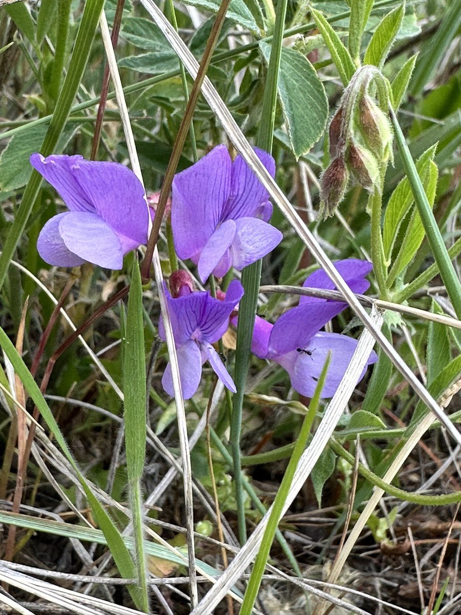 Cp O\D (@cp_old) on Twitter photo 