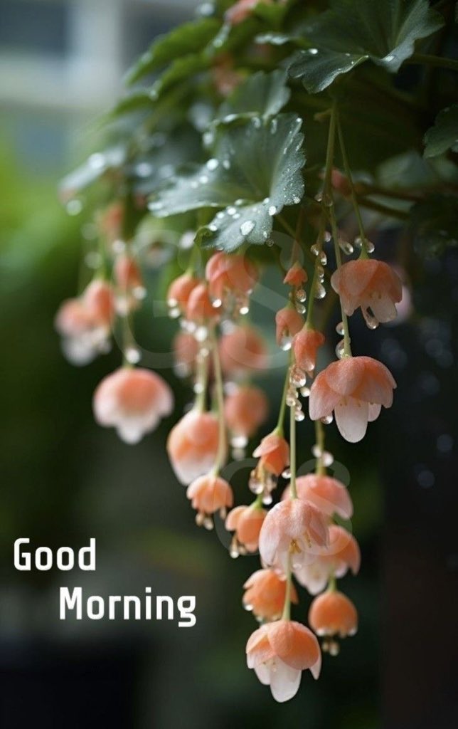 Скосырская Виктория Юрьевна tweet media