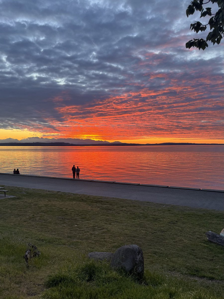 cindysaver's tweet photo. Sunset over Alki tonight. No filter 👀 https://t.co/rY2XI5gwbr
