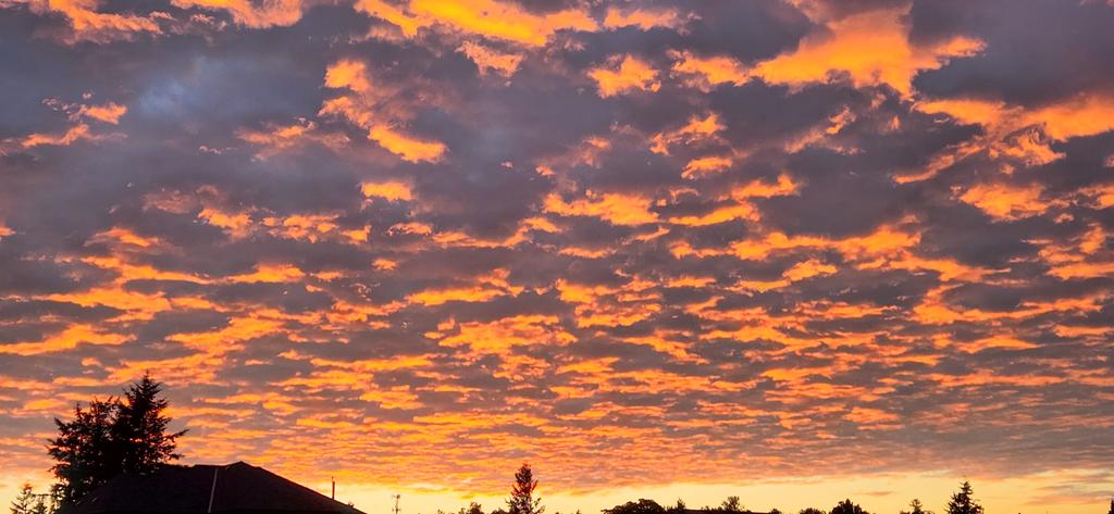 LMD_EP's tweet photo. @kamloopsgurl Sunset in #abbotsford https://t.co/KyK5StLR1r
