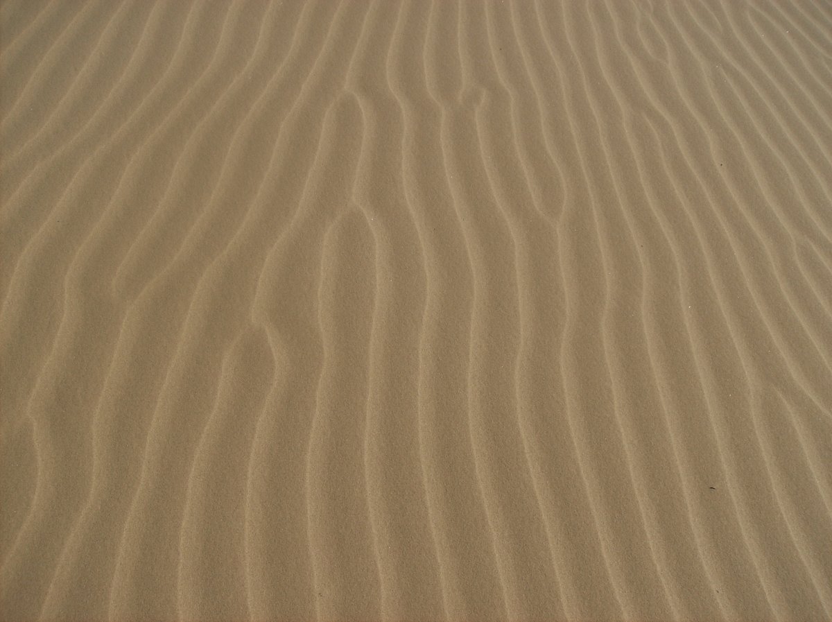 Untouched sand #AlphabetChallenge #WeekU at Nellis Dunes