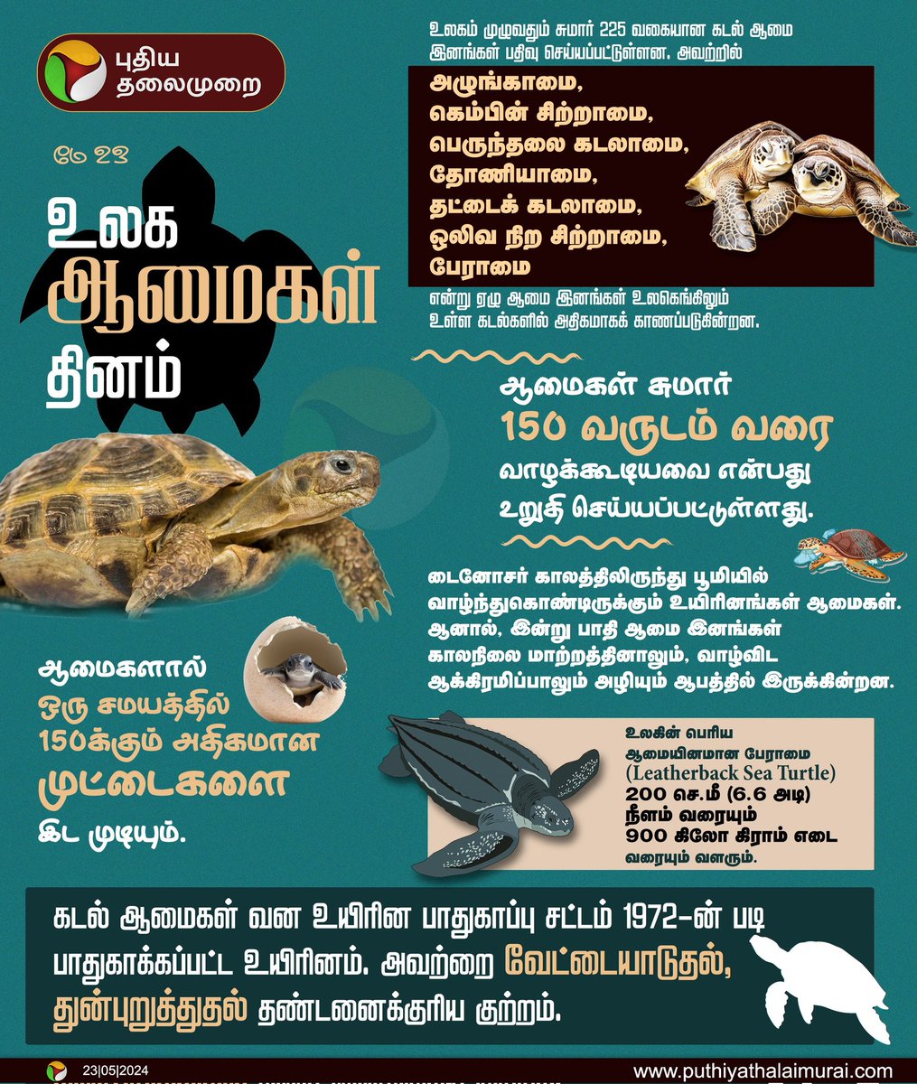 மே 23 - உலக ஆமைகள் தினம் #WorldTurtlesDay