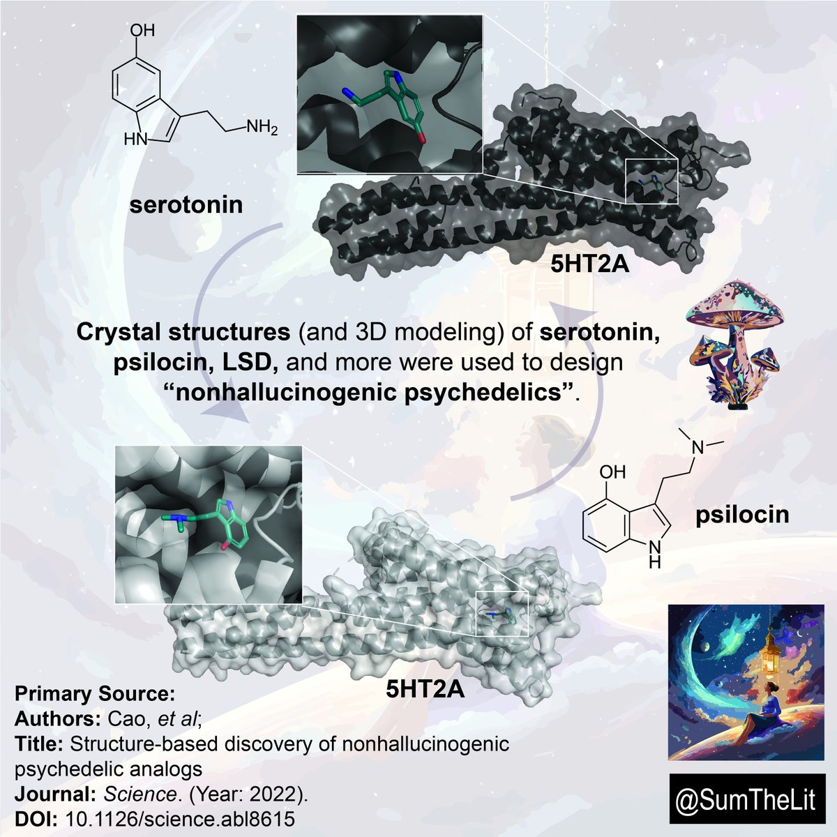 How can researchers use the crystal structures of psilocin and serotonin (bound to ther biological target 5HT2A) to design a nonhallucinogenic psychedelic? 🩺🧪🍄🌿🥼

DOI: 10.1126/science.abl861

#psychedelics #medchem #sumthelit #LSD #psilocin #psilocybin #nonhallucinogenic