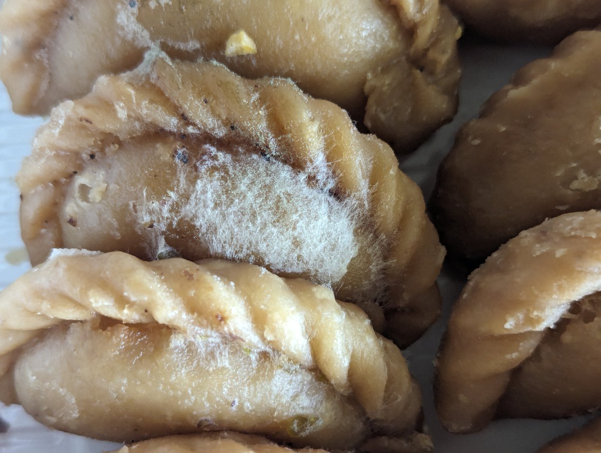 drballala555's tweet photo. @Amul_Coop @amulcares @Amul_Gujarati 
Purchased a packet of Amul Gujiya from Ahemdabad airport. Full of fungus. https://t.co/awPquP3a6U