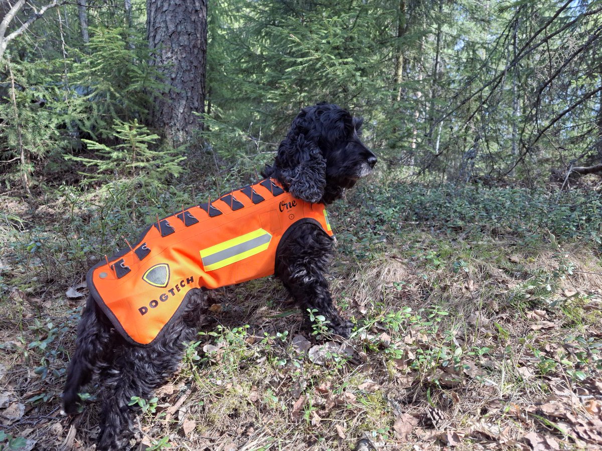 Etsimme aktiivisia metsästyskoirakoita testaamaan susisuojaliivejä! 🐕

Tavoitteena on kerätä kokemuksia siitä, miten liivit soveltuvat metsästyskoirien käyttöön suomalaisissa maastoissa ja metsästysmuodoissa, tarkoitus ei ole altistaa koiria vaaraan.

susilife.fi/fi/ajankohtais…