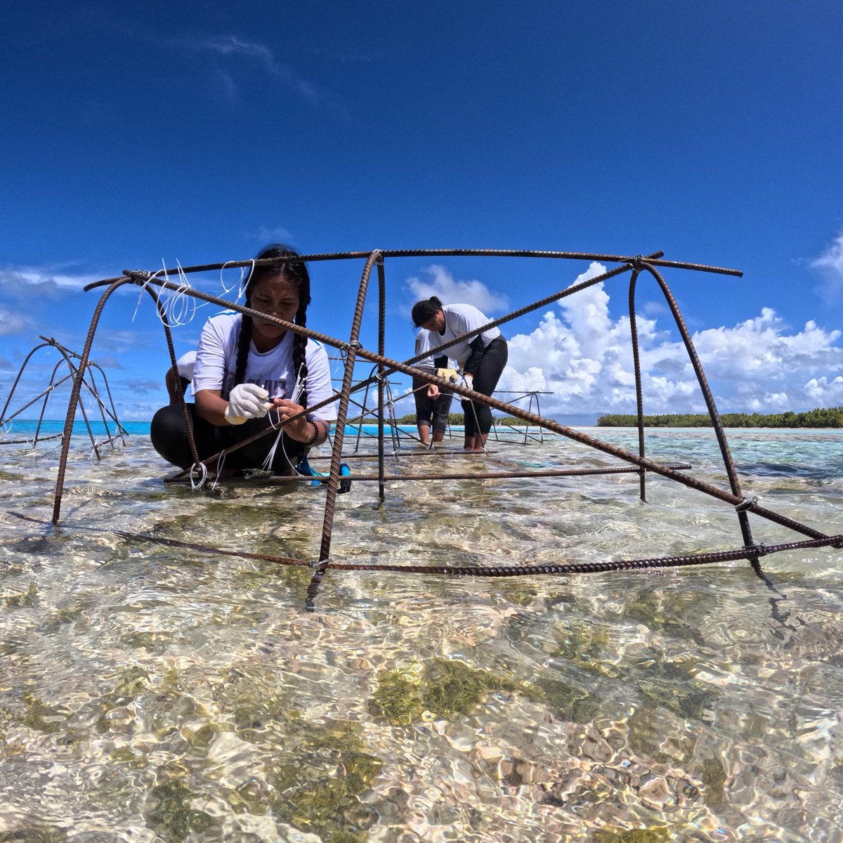 UNDPasiapac's tweet photo. “Pacific island states are giants in sustainable development,” writes @UNDP’s Claire Van der Vaeren in our latest blog post ahead of the #SIDS4 conference starting today. Supporting their initiatives can teach us to build a more sustainable world for all. https://t.co/0lM4WT5qMW https://t.co/hjAOzS8Efk