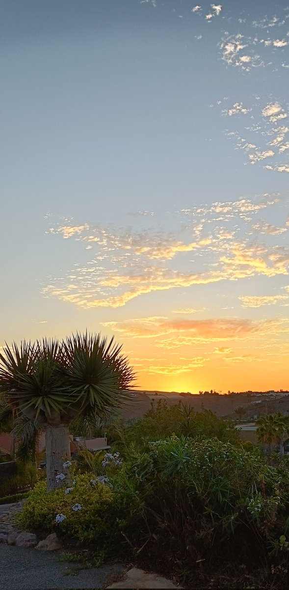 'Siempre hay flores en el mundo para quien lleva un jardín en el alma'... Para tí, por ejemplo...🌊❤️ #BuenosDíasATodos 👋☕😘