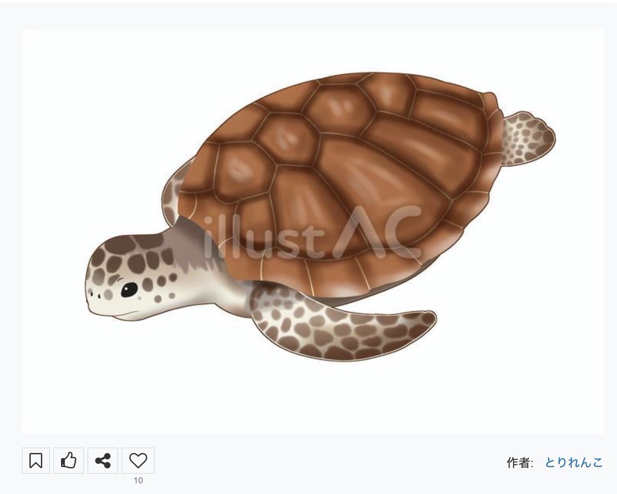 torirenko's tweet photo. ⭐️新作情報⭐️ 
本日は「#世界カメの日」🐢
#イラストAC さんにて、 #アカウミガメ の #アイコン を登録しました！

無料登録でDLすると、#寄付 に繋がります🍀
https://t.co/xU2ZHmiuhM

#絶滅危惧種 #ウミガメ #カメ #爬虫類 #野生動物 #野生生物 #イラスト #動物イラスト https://t.co/fLOM0Olbvn