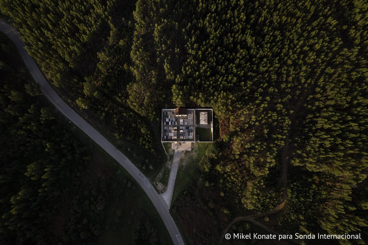 Cementerio de Sarzedas de São Pedro, donde están enterradas varias de las víctimas que murieron en el incendio de Pedrógão Grande (Portugal), rodeado de un bosque de eucalipto. 📸 @MikelKonate